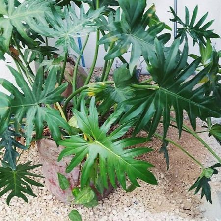 坎昆Coral公寓 外观 照片